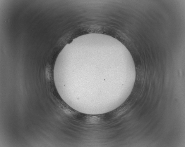 X0000075390287200610061913