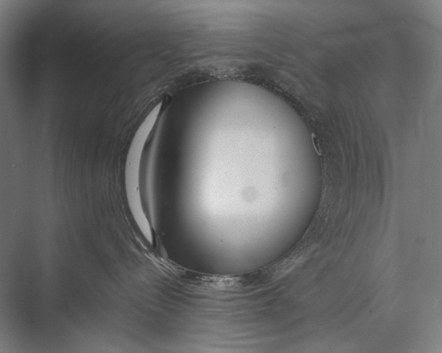 X0000075390288200610061913