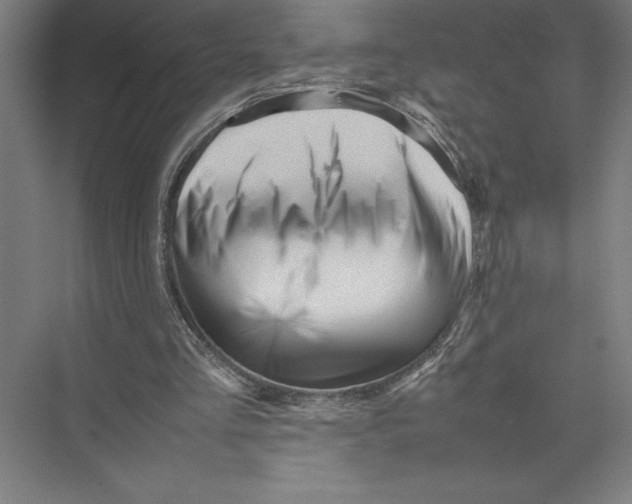 X0000075390293200610061912