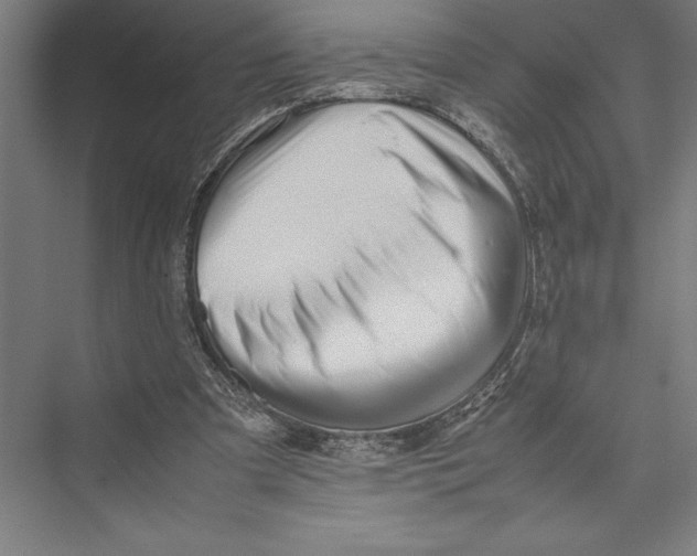 X0000075390297200610061912