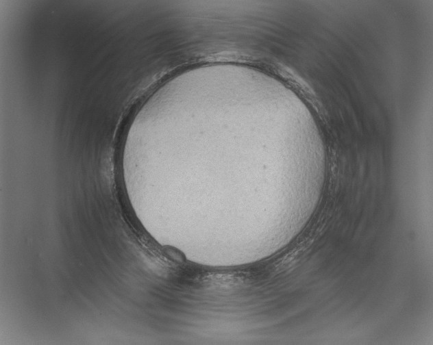 X0000075390298200610061912
