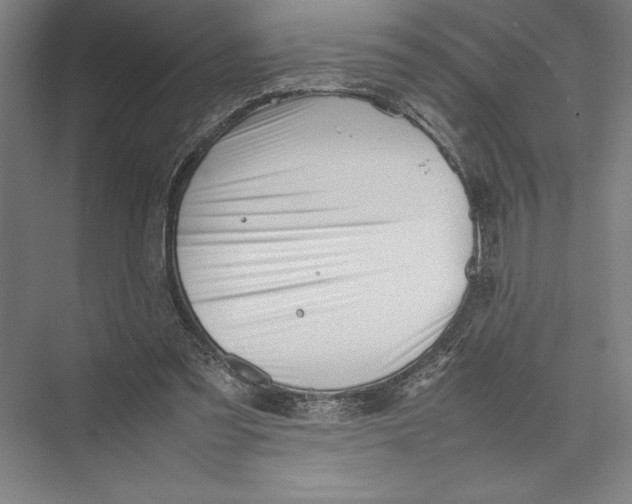 X0000075390301200610061912