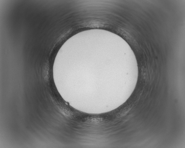 X0000075390304200610061912