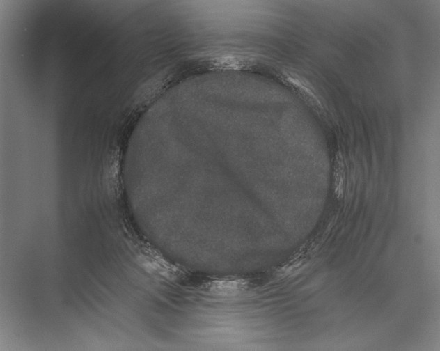 X0000075390314200610061911