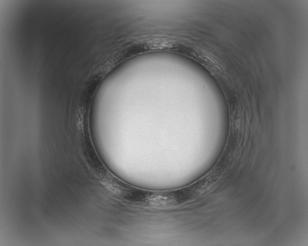 X0000075390315200610061911