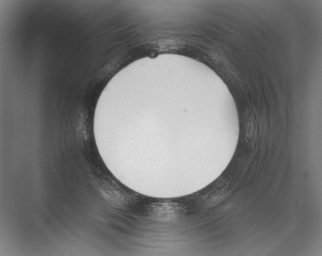 X0000075390316200610061911