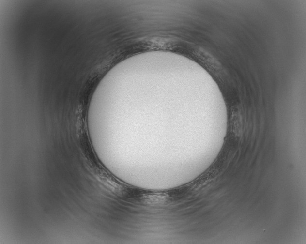 X0000075390318200610061911