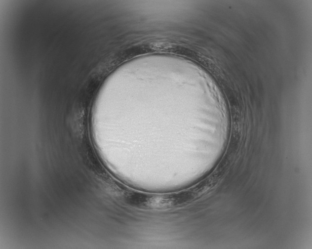 X0000075390319200610061911