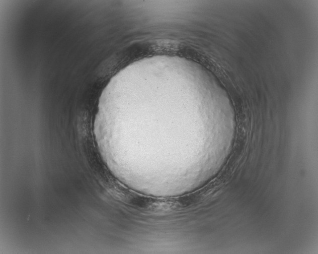 X0000075390323200610061911