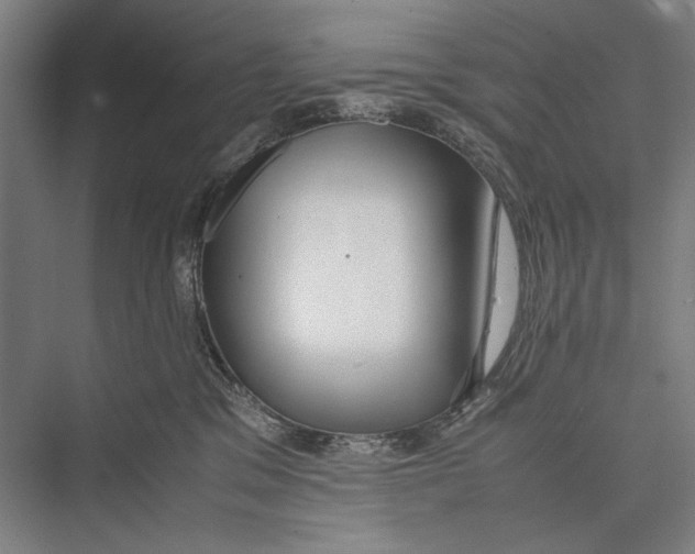 X0000075390329200610061911