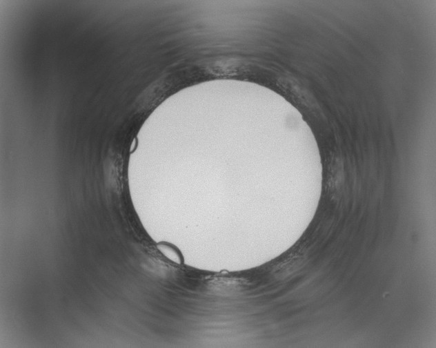 X0000075390332200610061911