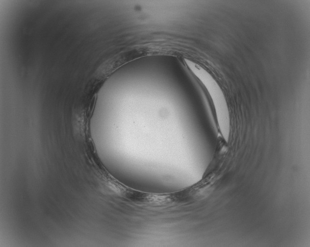 X0000075390333200610061911