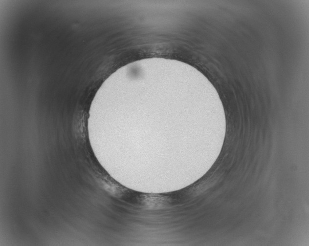 X0000075390336200610061911