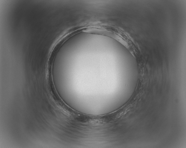 X0000075390344200610061910