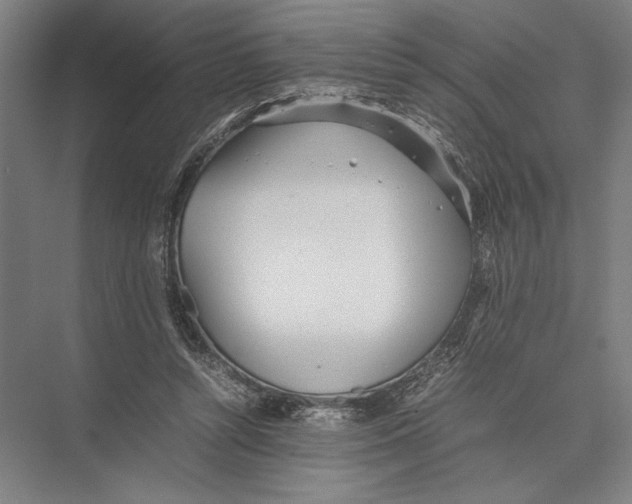 X0000075390352200610061910