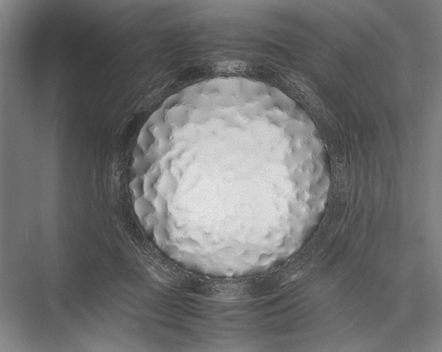 X0000075390363200610061911