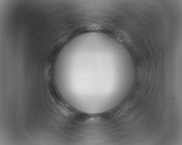 X0000075390364200610061911