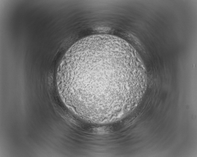 X0000075390365200610061911