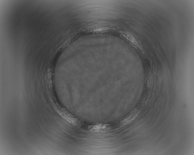 X0000075390366200610061911