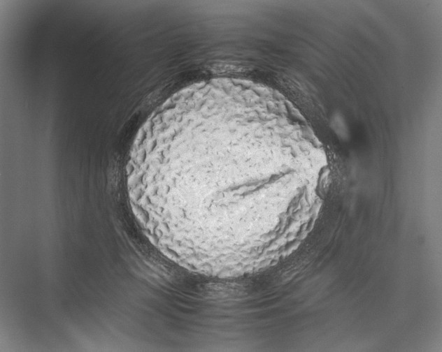 X0000075390367200610061911