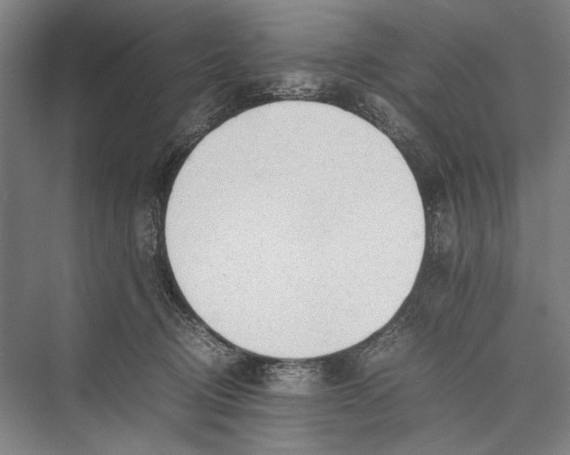 X0000075390370200610061911