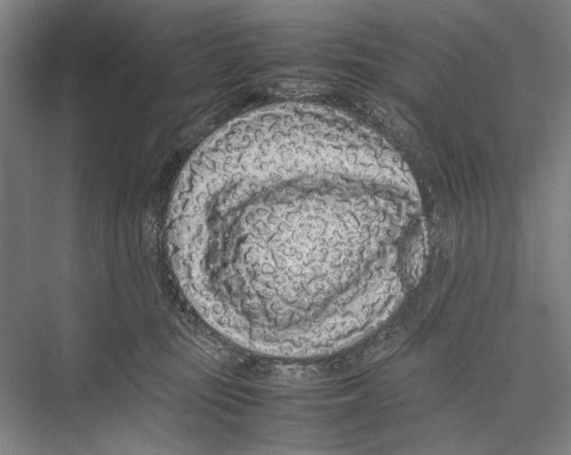 X0000075390371200610061911