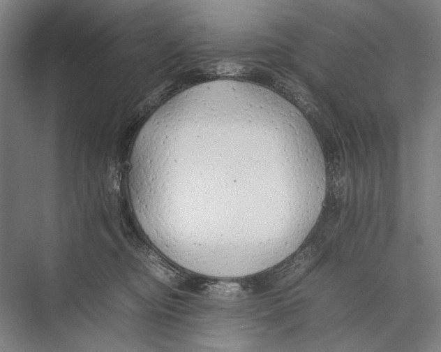 X0000075390374200610061911