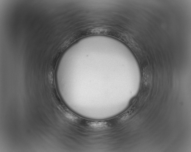 X0000075390375200610061911