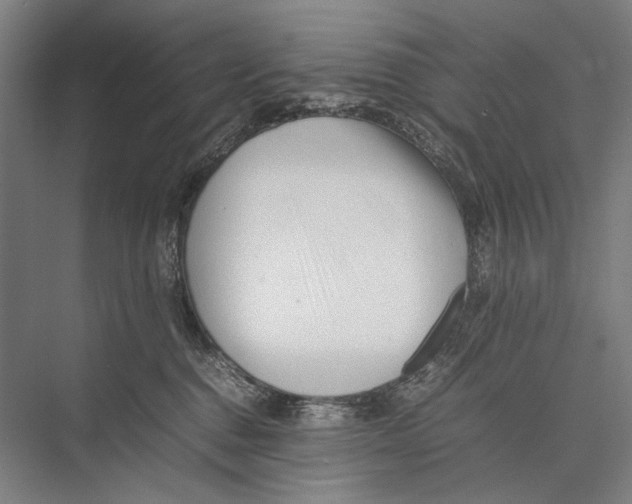 X0000075390376200610061911