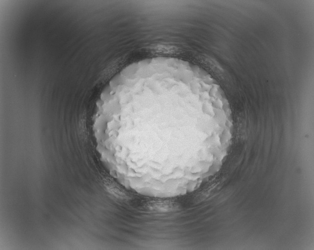 X0000075390377200610061911