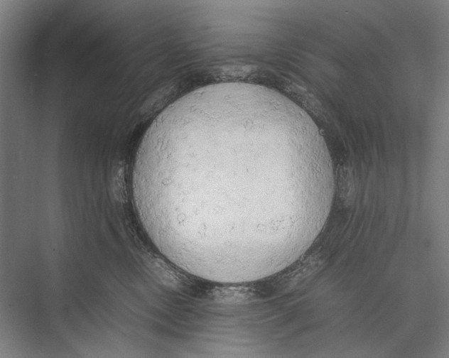 X0000075390378200610061911