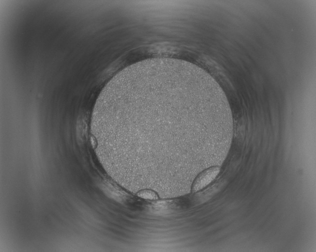 X0000075390382200610061911
