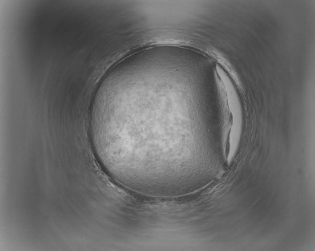 X0000075390385200610061910