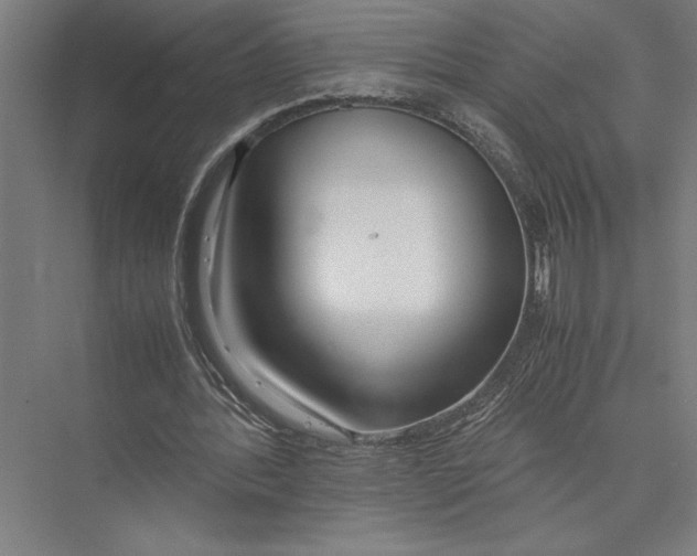 X0000075390388200610061910