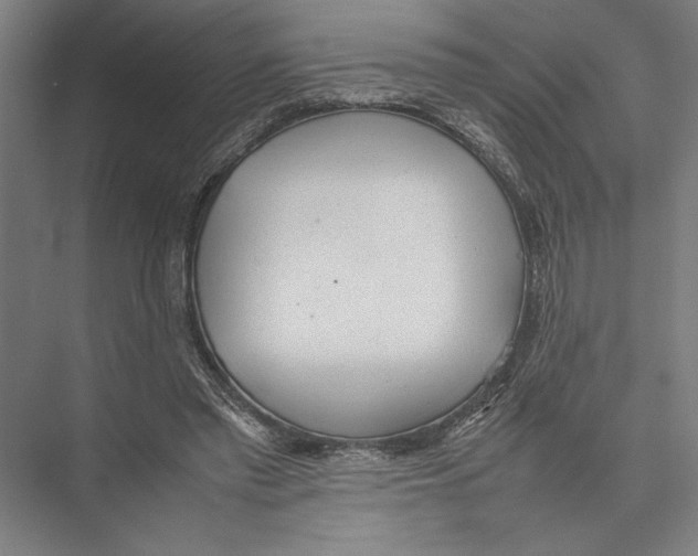 X0000075390397200610061910