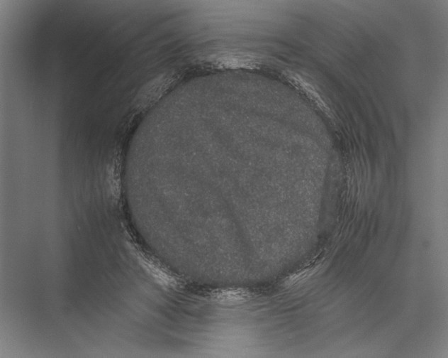X0000075390402200610061910