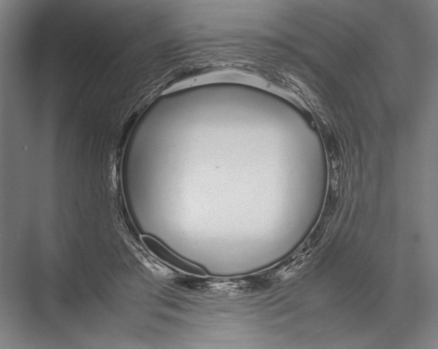 X0000075390405200610061910