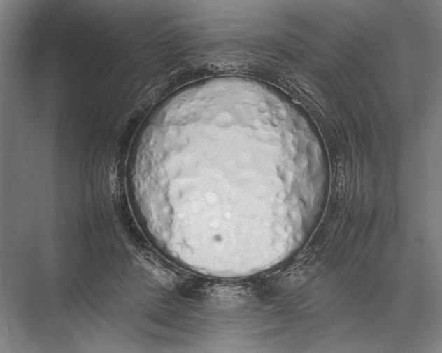 X0000075390408200610061910