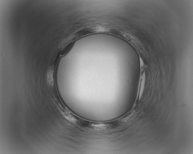 X0000075390409200610061910