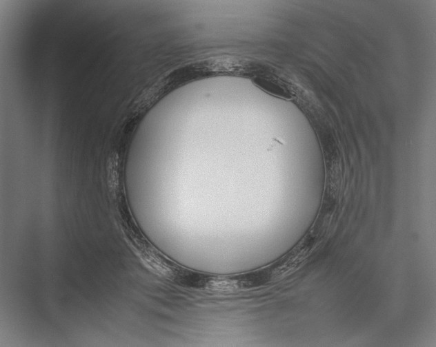 X0000075390413200610061910