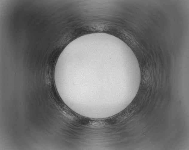 X0000075390414200610061910