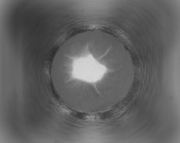 X0000075390415200610061910