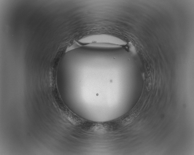 X0000075390416200610061910