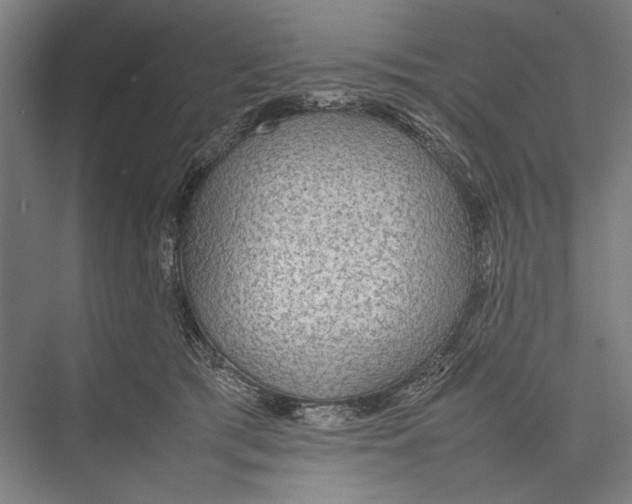 X0000075390417200610061910