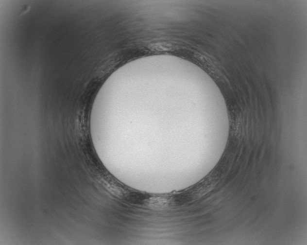 X0000075390418200610061910