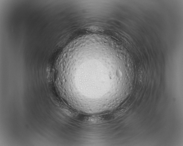 X0000075390420200610061910