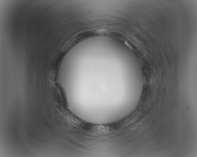 X0000075390421200610061910