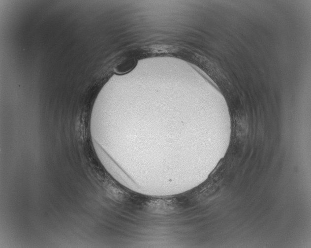 X0000075390422200610061910