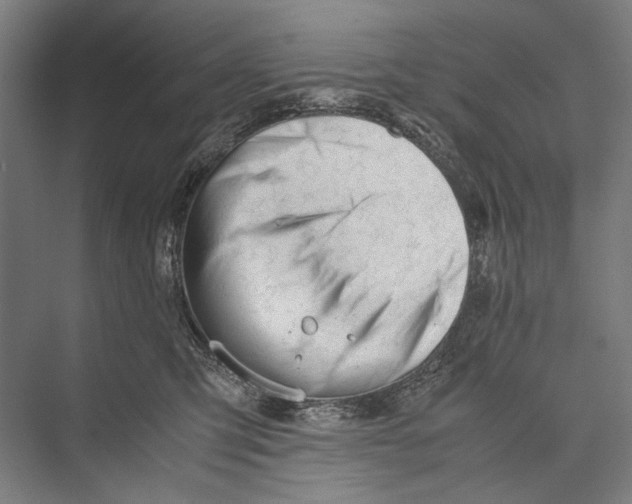 X0000075390423200610061910