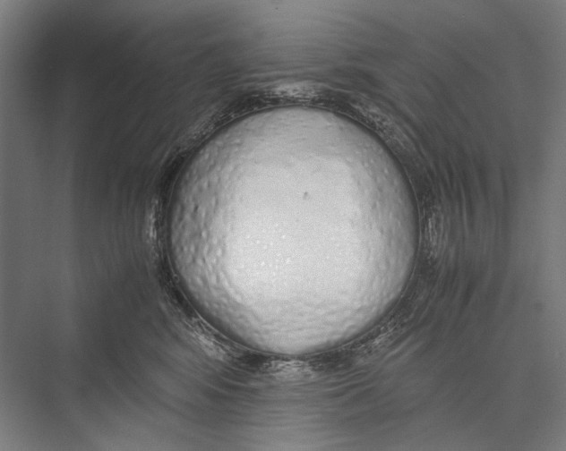 X0000075390424200610061910